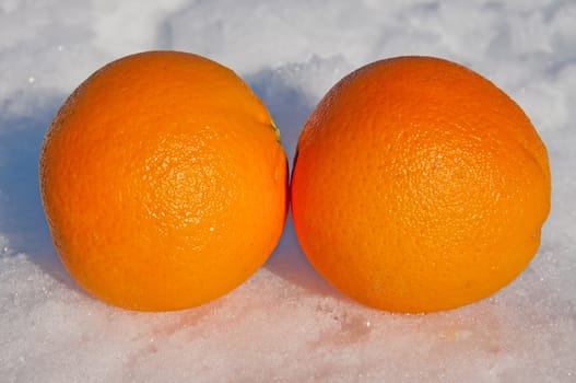 Two oranges in the snow