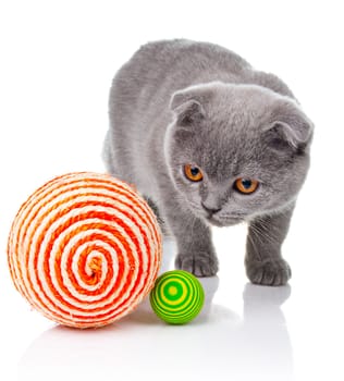 Little kitten playing with balls isolated on white background 