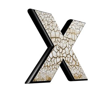 abstract 3d letter with dry ground texture - X