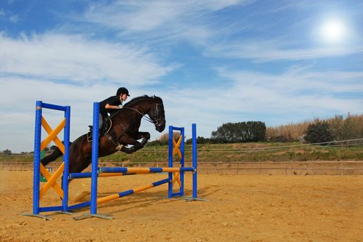 young girl and her black horse in a training of jumping