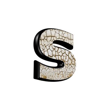 abstract 3d letter with dry ground texture - S