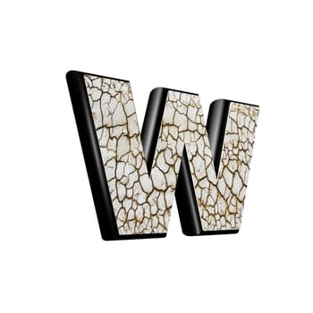 abstract 3d letter with dry ground texture - W