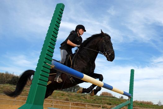 training for competition of jumping for an horse and her riding girl