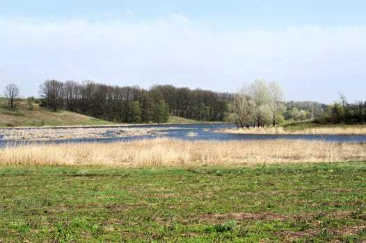 landscape with trees and lake or rural scenery