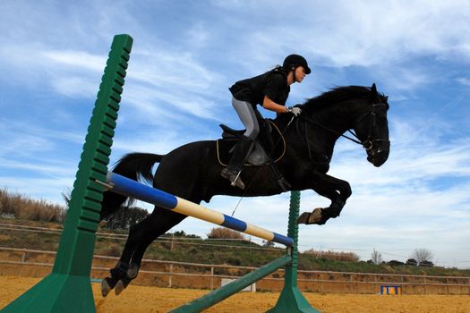 training for competition of jumping for an horse and her riding girl