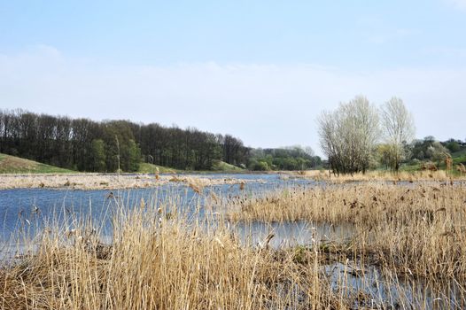 landscape with trees and lake or rural scenery