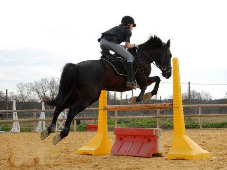 training for competition of jumping for an horse and her riding girl