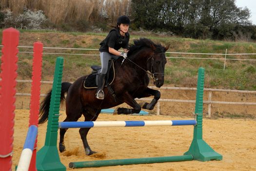 training for competition of jumping for an horse and her riding girl