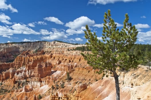 magnificent landscape of Bryce Canyon, National Park, Utah, USA
