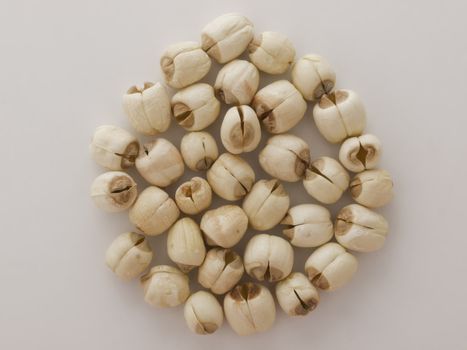 close up of a heap of lotus seeds