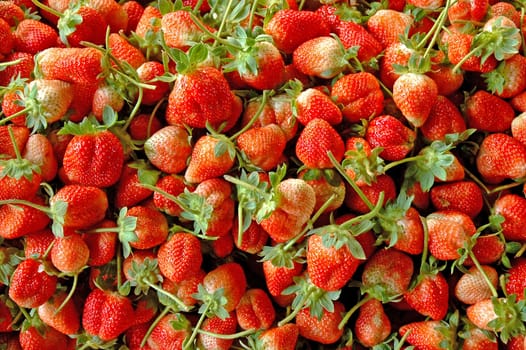 fresh strawberry