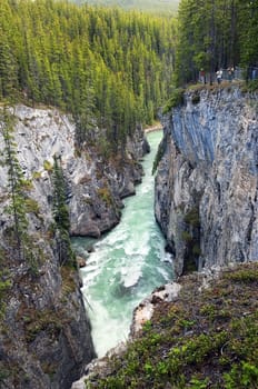 river in the gorge Canadian Rocky Mountains