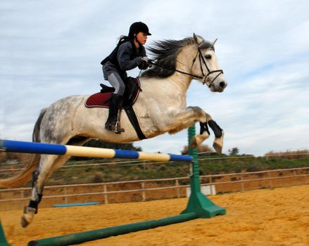 training for competition of jumping for an horse and her riding girl