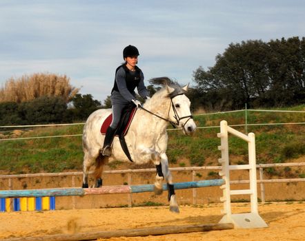 training for competition of jumping for an horse and her riding girl