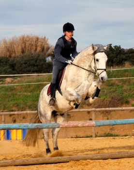 training for competition of jumping for an horse and her riding girl