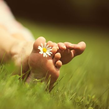 Daisy and bare feet on green grass, copy space