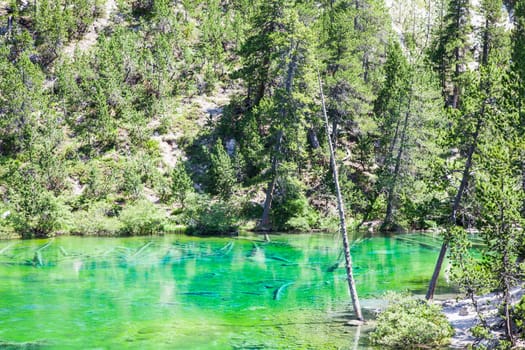 Bardonecchia, Italy. The Green Lake, Alpine lake with fluo color due to a local seaweed