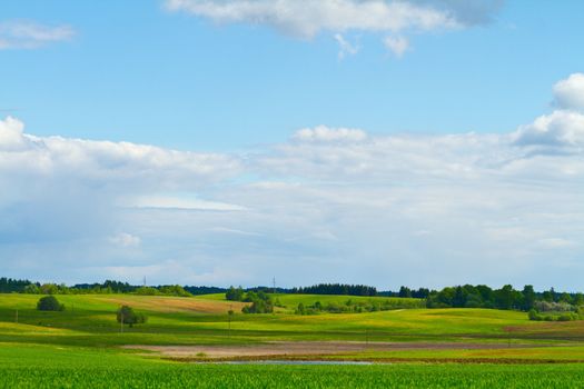 Spring rural landscape