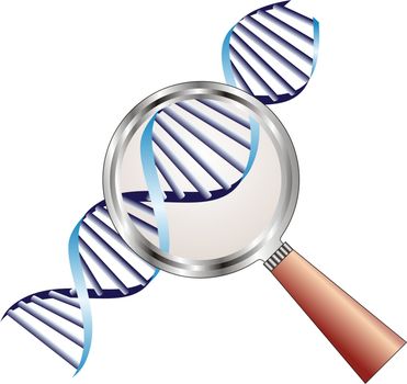 DNA helix under magnifying glass in focus of attention, biochemistry  