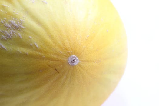 Galia melon