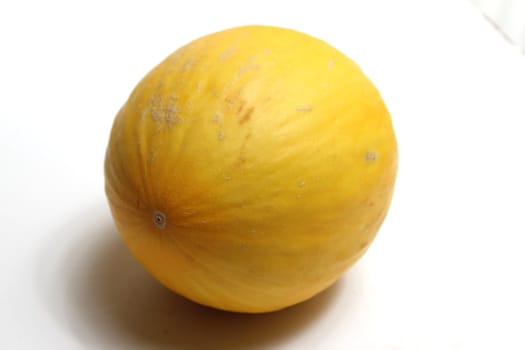 Galia melon