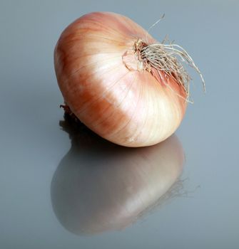 Fresh onion.