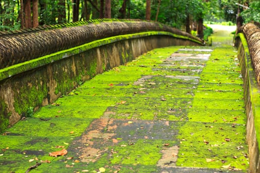 Old stone and brick stairway and green moss.