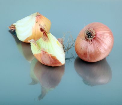 Fresh onion.