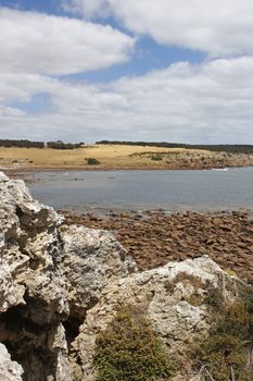 Rocky beach of Stokes Bay, Kangaroo Island, South Australia