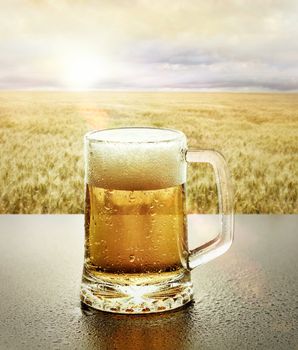 Glass of cold beer sitting on table at sunset in front of a wheat field