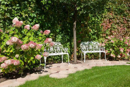 White benches in a summer garden