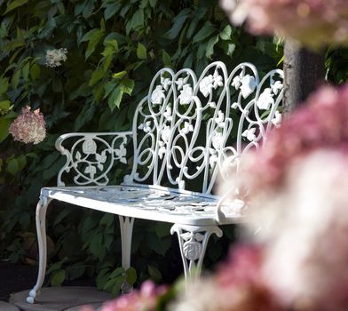 White bench in a summer garden