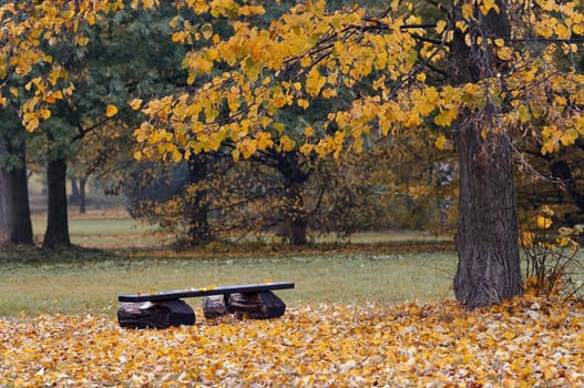 Cart-road and autumn landscape - fall colors - deciduous vegetation