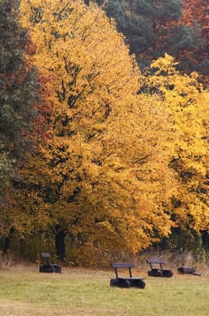 Cart-road and autumn landscape - fall colors - deciduous vegetation