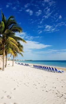 bright picture of beautiful caribbean tropical resort