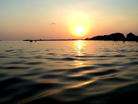                Seascape: general view of the sea against the setting sun                