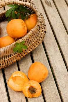 Fresh apricots in basket over wooden table