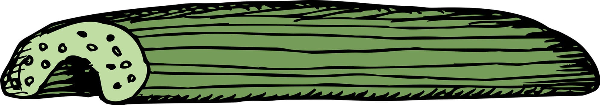Single cut celery stick cartoon over isolated background