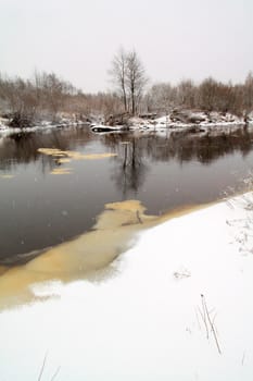 snow tree on coast river