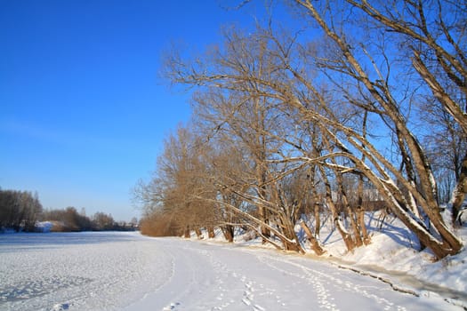 dark wood on coast river