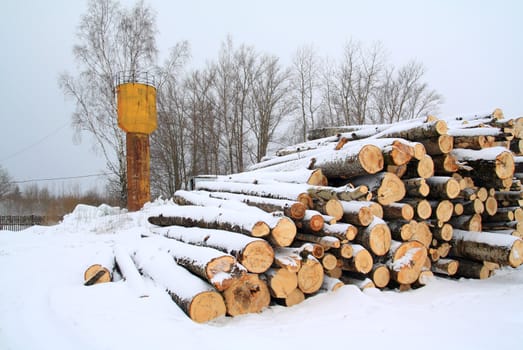heap firewood on winter snow