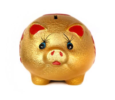 The Golden Pig piggy bank on white background.