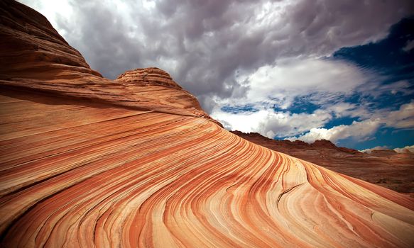 Arizona nature formation The Wave in North Coyote Buttes
