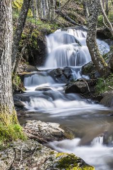 Cascades on a mountain river with a silky effect on the water that conveys a sense of relaxation.