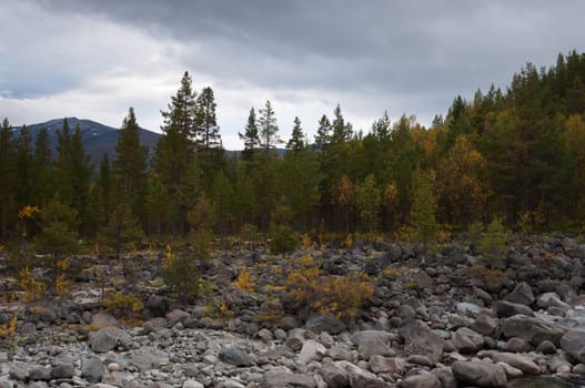 Autumn landscape. Forest and river bank with boulders.