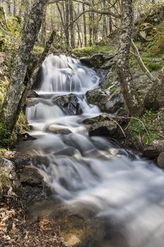 Cascades on a mountain river with a silky effect on the water that conveys a sense of relaxation.