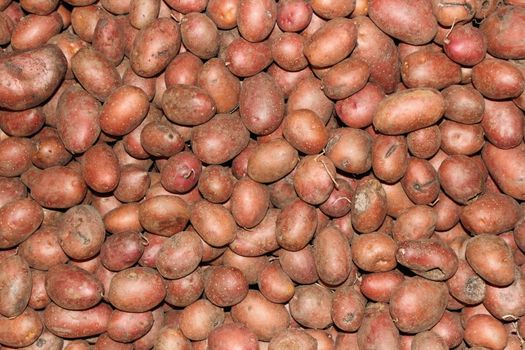 bunch of red potatoes forming an interesting texture