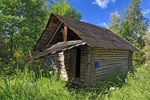 hunter's hut in a green forest