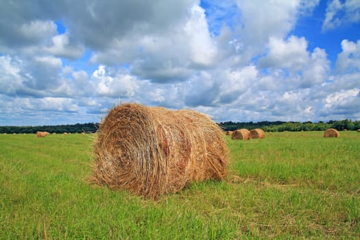 stack hay on summer field