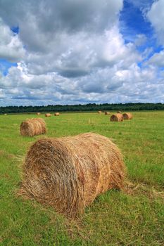 stack hay on summer field